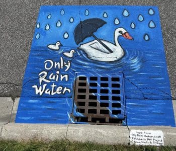 Hope Flynn (Coastline Dr) Only Rain Water